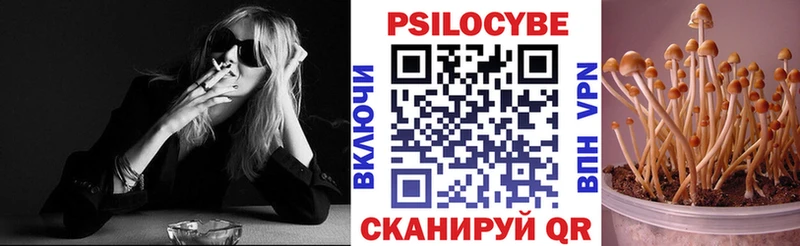 Галлюциногенные грибы Psilocybine cubensis  omg маркетплейс  Петухово  что такое наркотик 